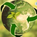 🌱 Descubre cómo implementar la 🚚 logística sostenible 🌍 para maximizar el impacto positivo en el medio ambiente