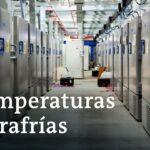 🚚 Logística de las vacunas: cómo asegurar una distribución eficiente y segura