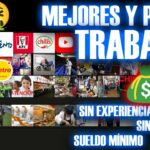 🚚💼 Trabajo Logística sin Experiencia en Lima: ¡Encuentra tu Oportunidad Laboral en la Industria del Transporte!
